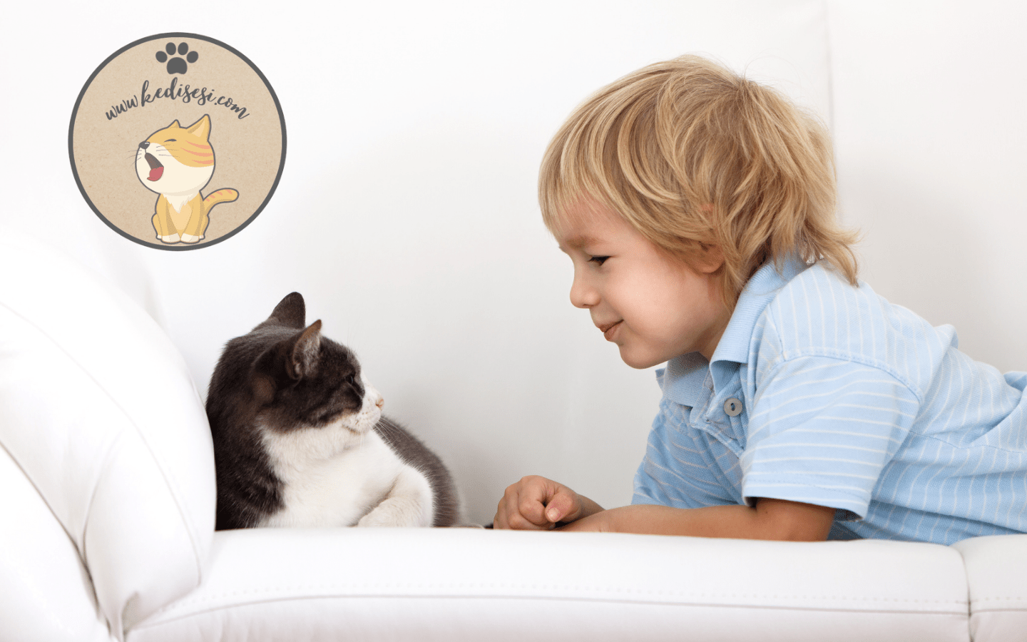Hayvan Sevgisinin Çocuk Gelişimindeki Önemi ️ Kedi Sesi