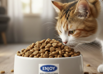 Bütçe Dostu ve Besleyici: Enjoy Tavuklu Yetişkin Kedi Maması 15 Kg Detaylı İncelemesi